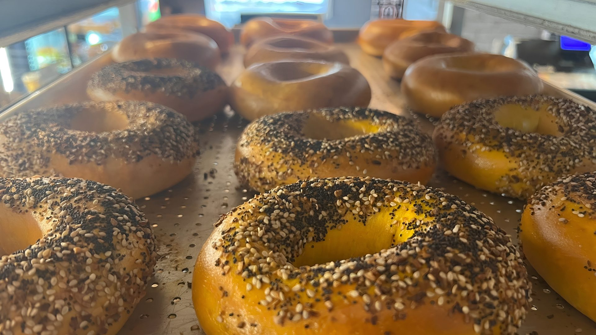 Jersey Bagels Rewards